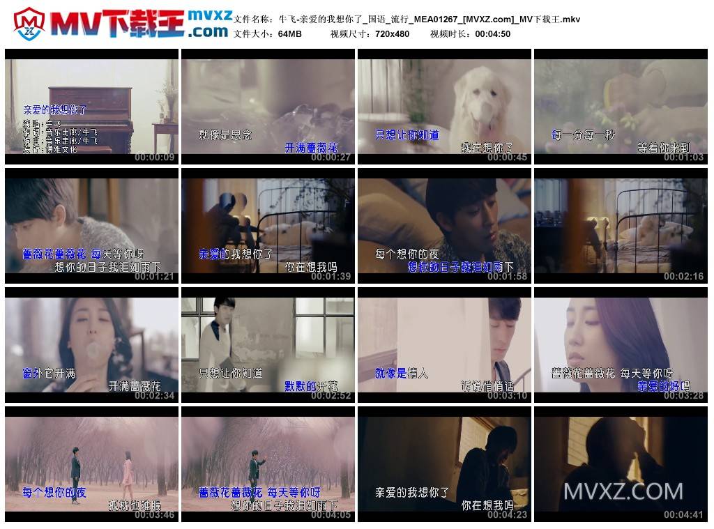 牛飞-亲爱的我想你了_国语_流行_MEA01267